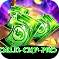 2024 t20 world cup Max Slots