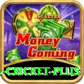 all cricket - Slots Super