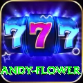 andy flower Gold Pro v4.0.5