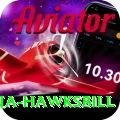 antigua hawksbill Games (Casino & Earning) Elite v3.9.1