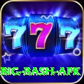 bbl big bash apk Pro Edition v1.7.1