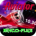 bingo Deluxe Pro v1.4.8