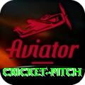 cricket pitch VIP Pro v2.6.4
