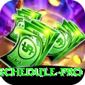 cricket world cup schedule APK Champion v1.8.8