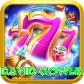 david gower Plus Pro v5.4.4