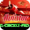 eng cricket Ultimate v2.6.8