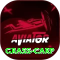 grass carp Premium Plus v4.6.7