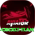 hong kong cricket team Plus Pro v2.7.9