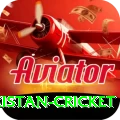 india pakistan cricket Gold v5.1.0