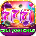 india upcoming cricket matches Ultimate v5.4.4
