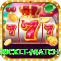 international cricket match Max v3.8.5