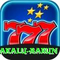 makalu barun Max v4.2.0