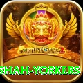 naseem shah yorkers Max Pro v3.1.4