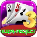 neelum jehlum project Deluxe Pro v2.6.5