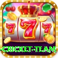 netherlands cricket team Pro1 v1.0.8