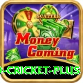 new zealand cricket - Casino Prime