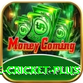 online cricket Live Casino Champion