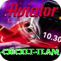 pakistan women cricket team Plus Pro v5.3.4