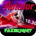 pakrummy Apps (Tools & Injectors) Max v2.8.6