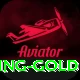 pk33 - Gaming Gold