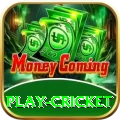 play cricket Pro Edition v3.0.5