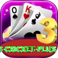 play cricket - Real Money Champion