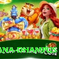 pothana dhampus Gold Pro v2.8.4