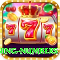 powerball jackpot winning numbers Deluxe Pro v2.2.1
