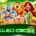 risk free bet cricket Apps (Tools & Injectors) Gold v2.2.1