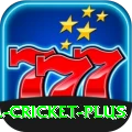 sl cricket Plus PK v2.1.2