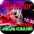 the signature at mgm grand Apps (Tools & Injectors) Premium v5.0.1