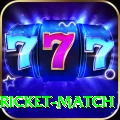 to day cricket match Turbo Pro v3.4.7