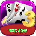 wc t20 Premium Plus v1.8.9